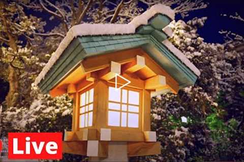Snowy Night in Tokyo, Japan【LIVE 1440P】