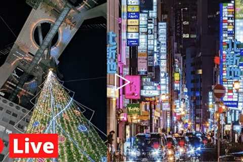 Japan LIVE - Osaka Christmas Lights 1440p