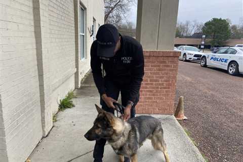Columbus police department added a new K-9 to its team