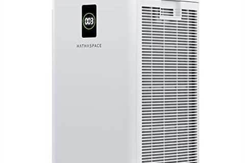 HATHASPACE Dual Filtration Air Purifier for Home Large Room, Office