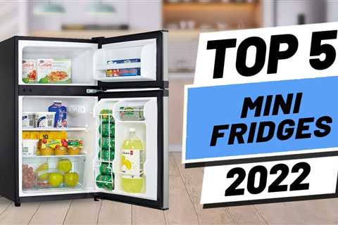 Top 5 BEST Mini Fridge of [2022]