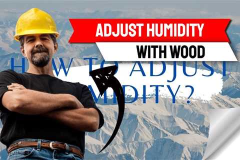 Portable dehumidifier for Home - How to adjust humidity? - Humidity, Lumber and Wood Panels