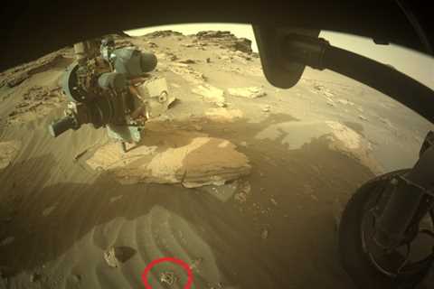 String Theory: NASA Rover Discovers Strange Tangled Object on Mars