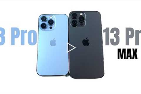 iPhone 13 Pro vs iPhone 13 Pro Max - A Year Later!