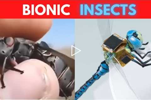 Insect Size Robots, AMAZING ROBOTIC INSECTS you must see, Future of Drone Surveillance