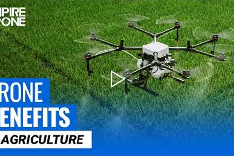 Top 5 Benefits of Drones in Agriculture