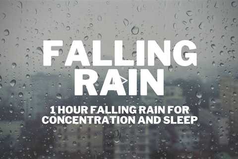 Real Rain Falling to Sleep, Relax and Meditate | 1 hour ASMR Rain Falling