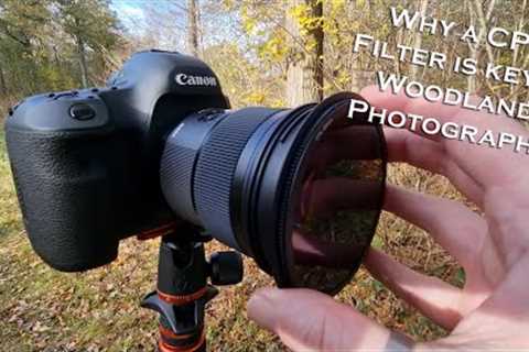 Why I think a circular polarizer / CPL filter is important for woodland photography.