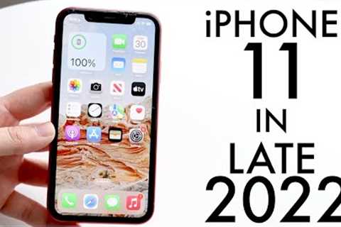 iPhone 11 In LATE 2022! (Review)