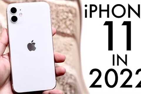 iPhone 11 In 2022! (Still Worth It?) (Review)