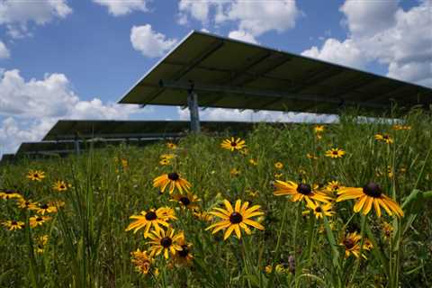 Minnetonka allows solar energy systems citywide