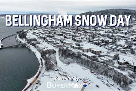 Snow Day in Bellingham, WA - Drone Footage After a Snowstorm (4K)