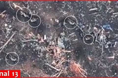 This is how drone destroys rats (Russians) in their nests - They lay wounded...