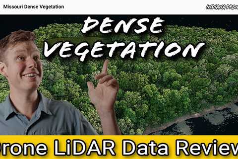 Drone LiDAR Date Review and Processing: Dense Vegetation