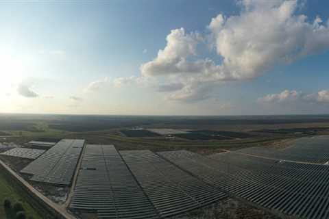 140-MW Texas solar project powers Houston area grid