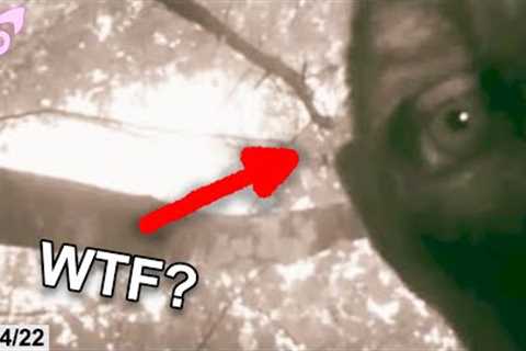 Disturbing Trail Cam Photos: What''s Lurking in the Woods?