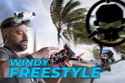 Windy FunFly - FPV Freestyle - ft. Joshua Bardwell, Bubby FPV, LetsFlyRC