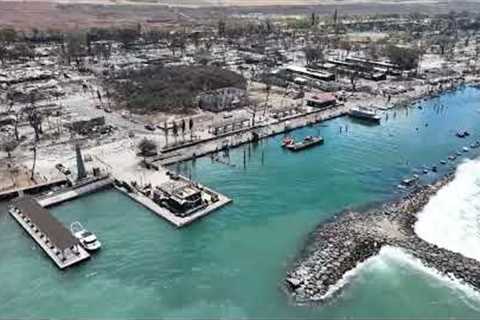 ￼ Aerial drone video of fire damage in Lahaina, Aina Nalu, the Banyan tree, pioneer Lahaina Harbor