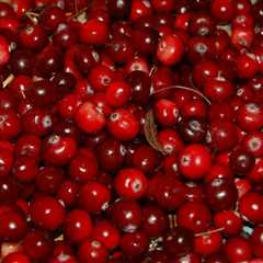 10 Surprising Health Benefits of Cranberry