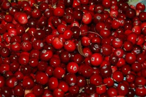 10 Surprising Health Benefits of Cranberry