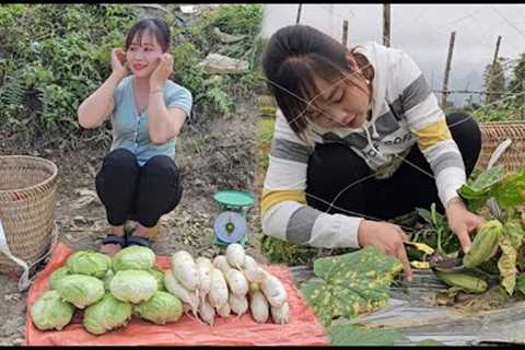 Harvest agricultural products at the end of the season sell them at the market