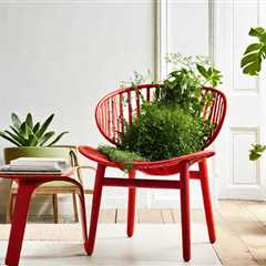 Revolutionizing Comfort: The Sustainable Chair Made from Plants