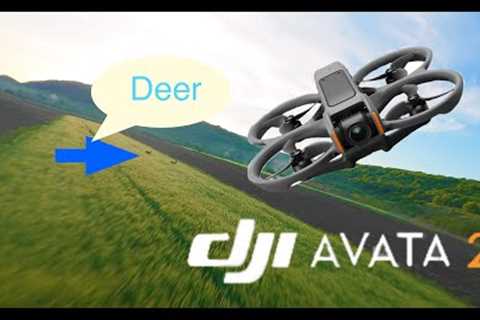 DJI AVATA 2 proximity flying | motion controller | cinematic sunrise