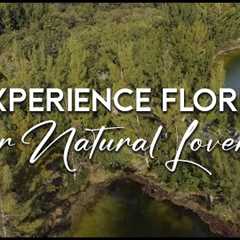 Experience Florida for Natural Lovers 4K Drone Video