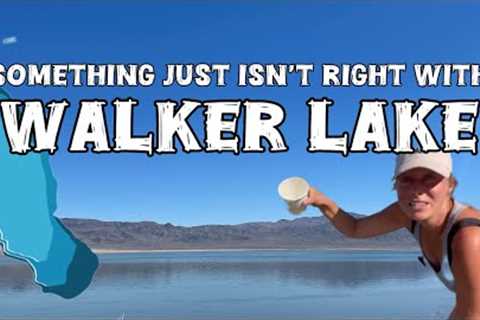 What’s Wrong with this Nevada Lake !? (The Story of Walker Lake)