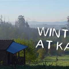 #138 What we did in winter (big chopping operation) + Challenges