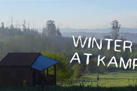 #138 What we did in winter (big chopping operation) + Challenges