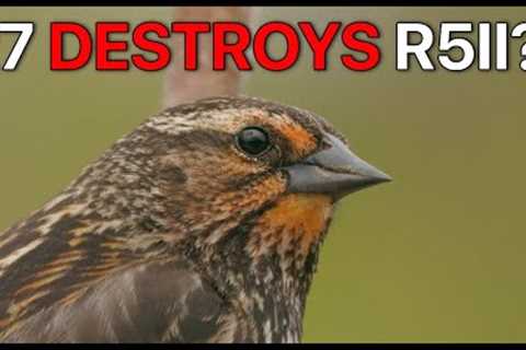 Canon R7 Destroys R5 II For Wildlife?!  Full Frame Quality vs Crop Reach