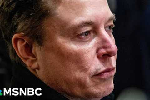 ‘Kicked him out of town’: Elon Musk ‘leaving in disgrace’ after 4 chaotic months