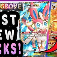 *META UPDATE* The BEST Decks to Come Out of EEVEE GROVE!! (I''m back :))