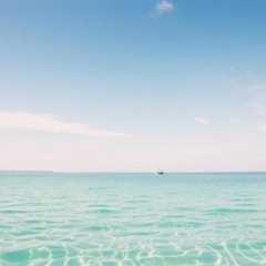 Maximize Your Caffeine Intake with Clarity: The Ultimate Tracking App