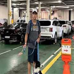 Navigating Ferry Travel: Bringing Your Car on Board