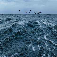 Understanding Ferry Travel: Duration and Factors Affecting Your Journey