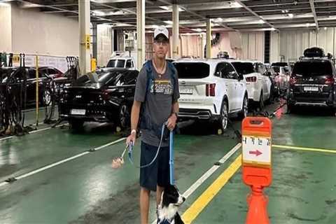 Navigating Ferry Travel: Bringing Your Car on Board