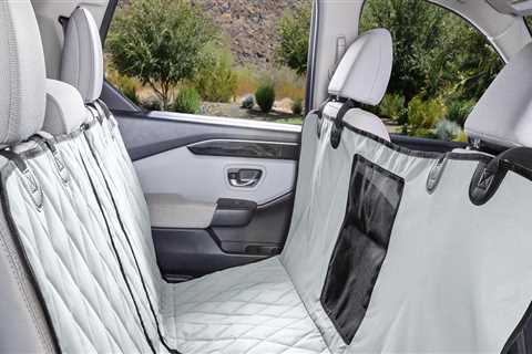 Essential Tips for Safeguarding Your Car's Interior from Pet Hair and Scratches