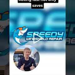 Is it worth fixing a chip in a windshield in Mission Beach? #Shorts