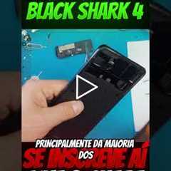 shark4 shorts