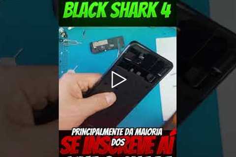 shark4 shorts